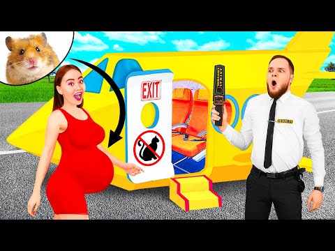 Как пронести домашних животных в самолёт | Смешные моменты от PaRaRa Challenge