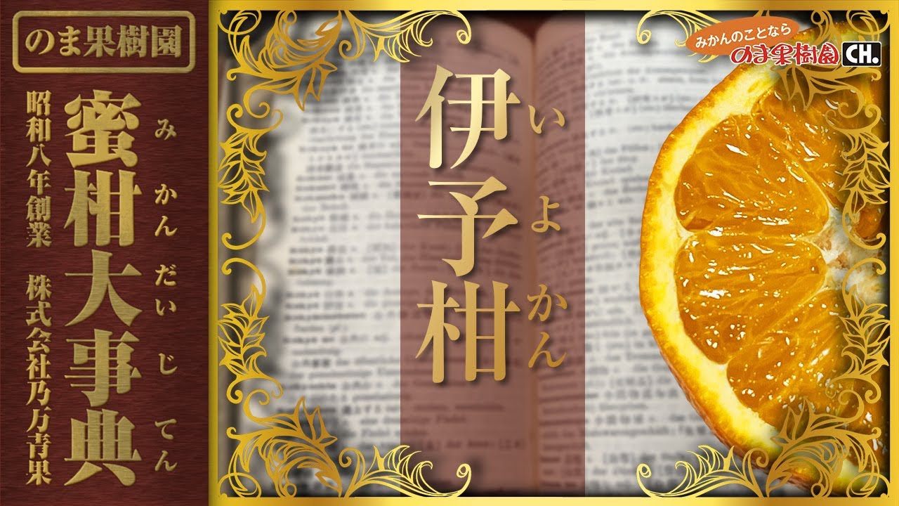 Iyokan] Citrus Encyclopedia: Everything You Need to Know About