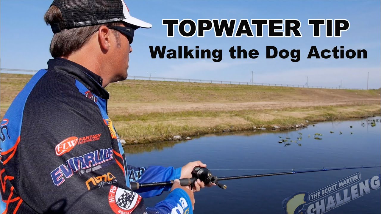 Exclusive Topwater Fishing Tip: How to “Walk the Dog” - YouTube