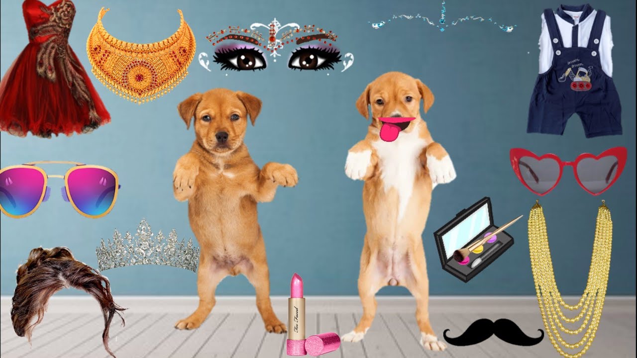 Talking Tom dog dulha and dulha ka funny makeup💄😄👄👸 video || dog makeup || 