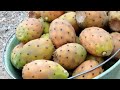 18 دجنبر 2021 اغنية صحراوية انا ماني نعسان