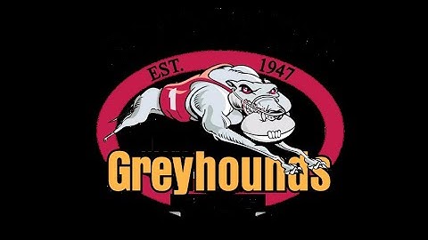 2025   Round 2   Under 18s   Scone vs Singleton