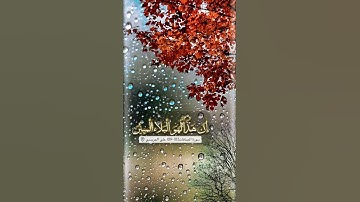 سورة الصافات الاية 103-109