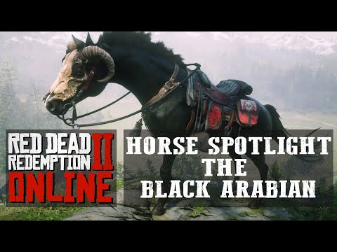 RED DEAD ONLINE