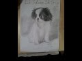 Drawing a Japanese Chin Puppy の動画、YouTube動画。