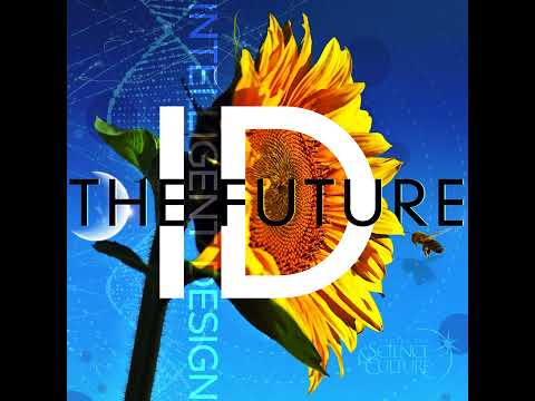 Meyer & Tour on New Critiques of Origin of Life Research