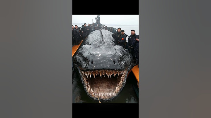 LAST CREATURE SUCKS 💀 | SCARY SEA CREATURES DON'T EXIST