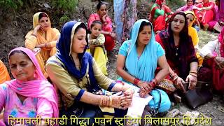 Himachali Pahari Lok Geet /गिद्धा