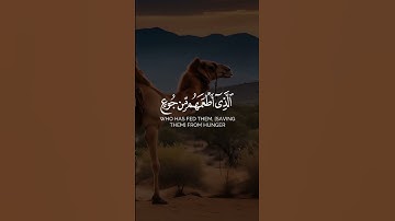 ماهر المعيقلي سورة قريش #اكسبلور