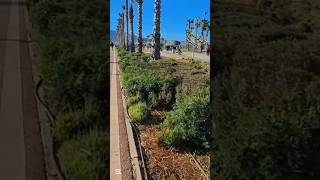 #shorts#trend#america#tailandia#indonesia#gaming#norway#portugal#mexico#france#malaysia#afghanistan