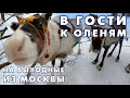 Старинная деревня Кимжа. Доехали до стойбища оленеводов
