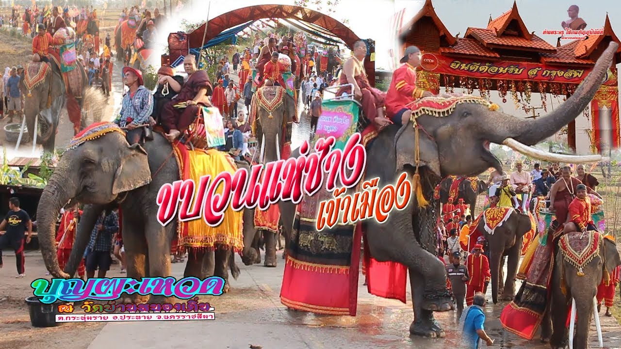 ขบวนแห่ช้างเข้าเมือง งานบุญผะเหวด วัดบ้านหนองเดิ่น ต.กระทุ่มราย อ.ประทาย