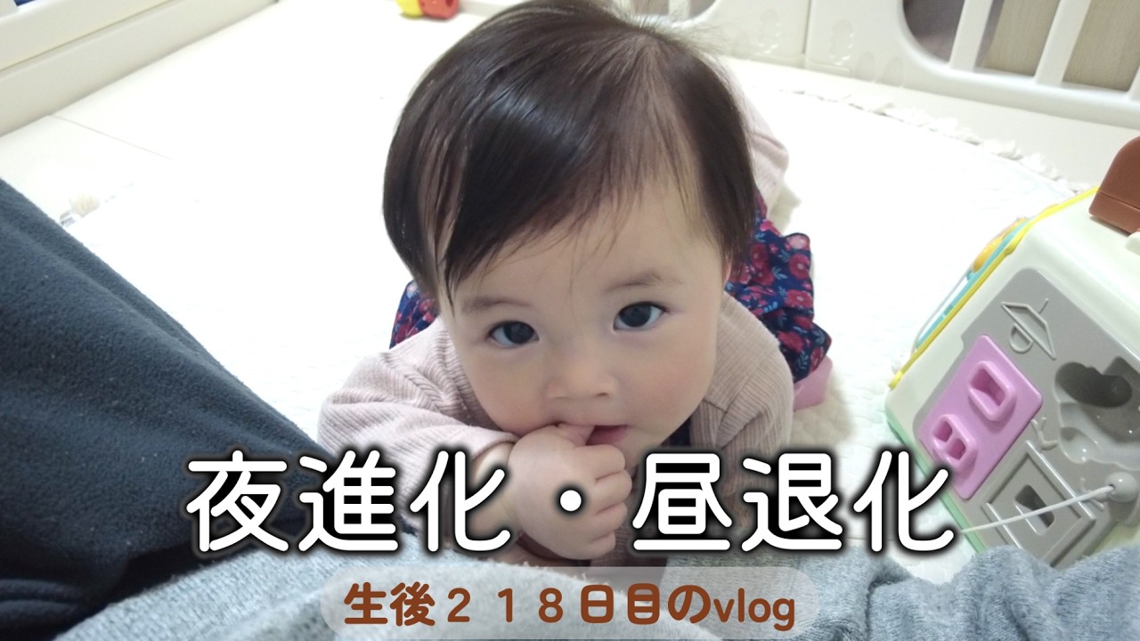 生後218日目 夜進化・昼退化｜里帰りなし,1LDK,完母育児,生後7ヶ月,vlog