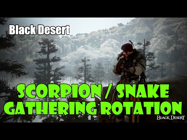 [Black Desert] Scorpion Snake Gathering Rotation | 1 Billion or More Silver Per Hour! class=