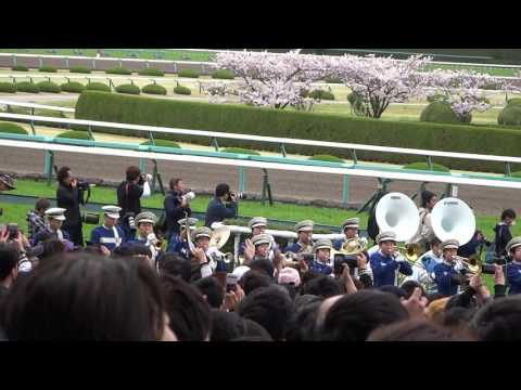 桜花賞2017ファンファーレ