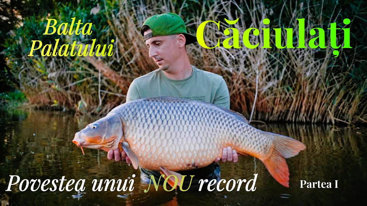 Pescuit la crap pe caniculă! Balta Palatului Căciulați! Partea I