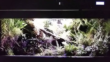 Tropical Terrarium With Thunder/Lightning-Simulation, Microcontroller/Techview
