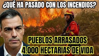 ¿QUE PASÓ REALMENTE CON LOS INCENDIOS EN ESPAÑA EN 2025? LAS LLAMAS TODO Y LA FALTA DE AYUDA...