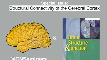 #CNScomms Day 2: Structural Connectivity of the Cerebral Cortex (Brain Structure and Function)