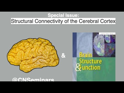 #CNScomms Day 2: Structural Connectivity of the Cerebral Cortex (Brain Structure and Function)