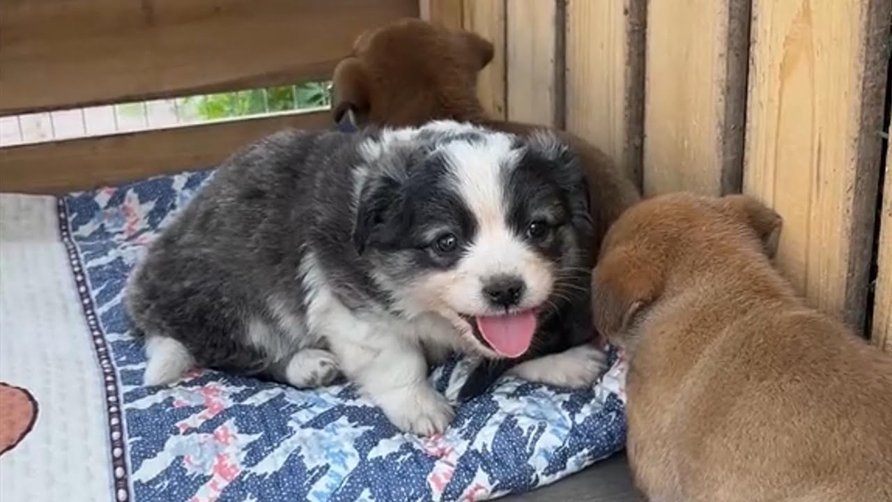 That smile hit me right in the heart — I just couldn’t wait to take them home