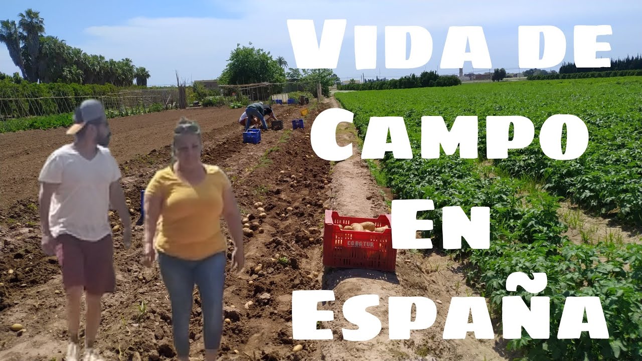 Vida De Campo En España.
