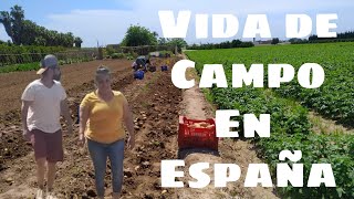 Vida De Campo En España.