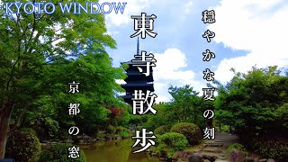 京都散策【夏の 東寺】Toji Temple／Walk in Kyoto,Japan - YouTube