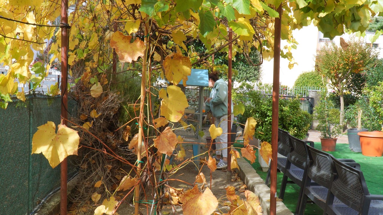 Находим счастье в простых, повседневных вещах | Готовим вкусный кабачковый флан