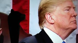 State Of The Union Address Trump