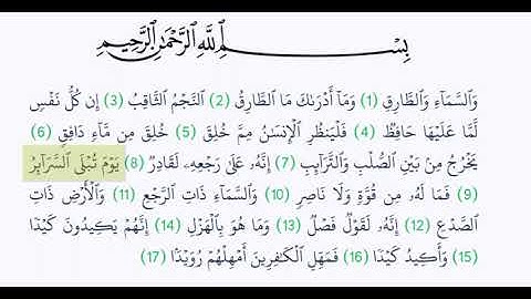 سورة الطارق \ الشيخ : ياسر الدوسري