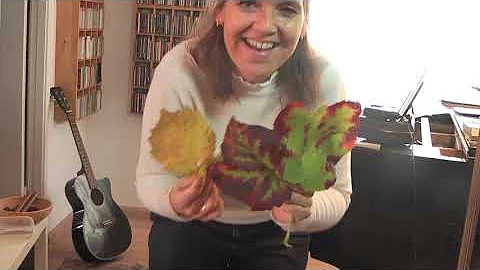 Herbststunde  Kristina Hansen