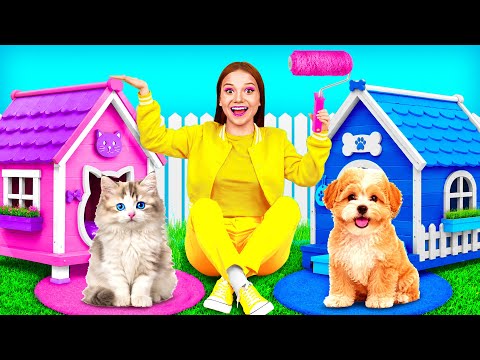 We Built a House For Pets | Funny Moments