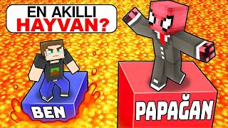 UZUN YAZAN YAŞAR  Minecraft