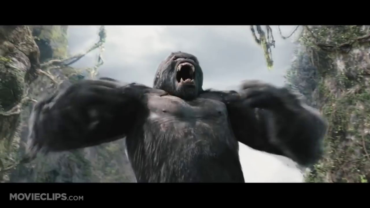 KING KONG SCAM XD