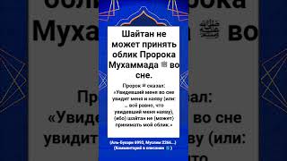 Шайтан не может принять облик Пророка Мухаммада ﷺ во сне.