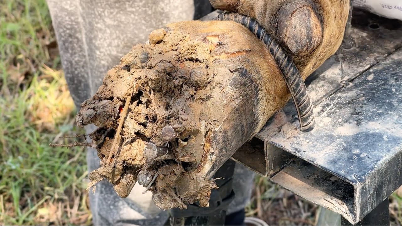 73!! Trim, cut and clean- the motor screw with nail stuck in cow hoof
