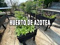 Huerto de Azotea hecho por Techo Verde