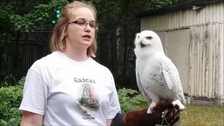 June 18, 2017 Vlog #1270 - A.R.K. Open House!