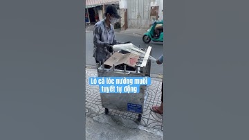 Lò cá lóc nướng muối tuyết tự động giá rẻ #shortsvideo