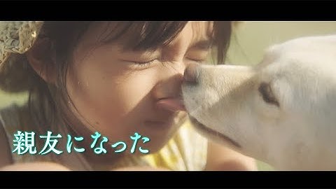 新海誠監督の愛娘・新津ちせ初主演映画！『駅までの道をおしえて』予告編