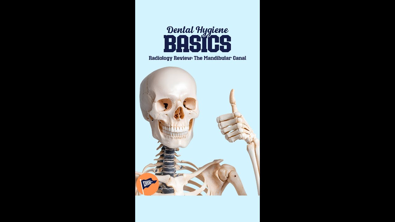 Radiology Review: The Mandibular Canal