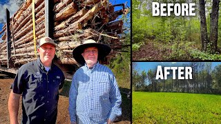 Logging Pines  Fast Progress in Georgia  Landowner getting it done!