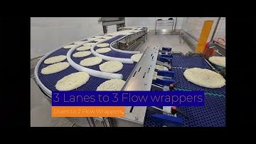 WMH - Robotic Divertor