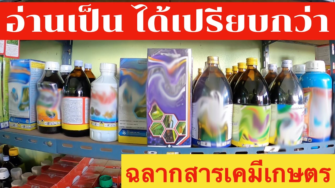 ฉลากสารเคมีเกษตร อ่านแล้วรู้ ช่วยลดต้นทุนได้ ตรงโรคและแมลง ปลอดภัยต่อผู้ใช้ด้วย