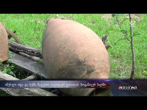 \"პატარა სასწაულია\" - ხეში ნაკვეთი სალოცავი და იმერული ოდა ბოტანიკურ ბაღში