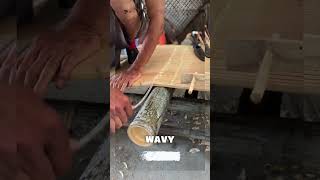 The Art of Bamboo Processing: From Rough Stems to Smooth Sheets#short