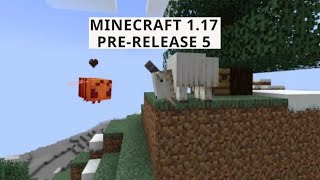 Minecraft net: 1.17 pre-release 5 released! Fixed 5 issues reported by you!