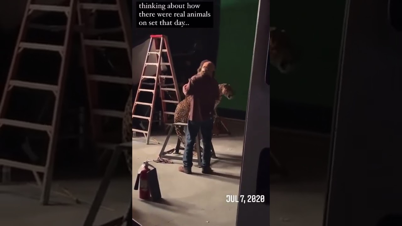 Behind the Scenes of WAP