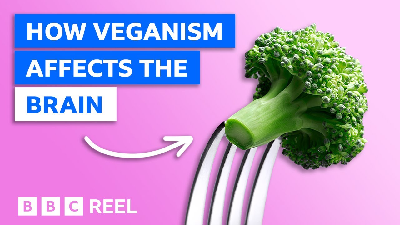 ⁣How a vegan diet affects your brain – BBC REEL